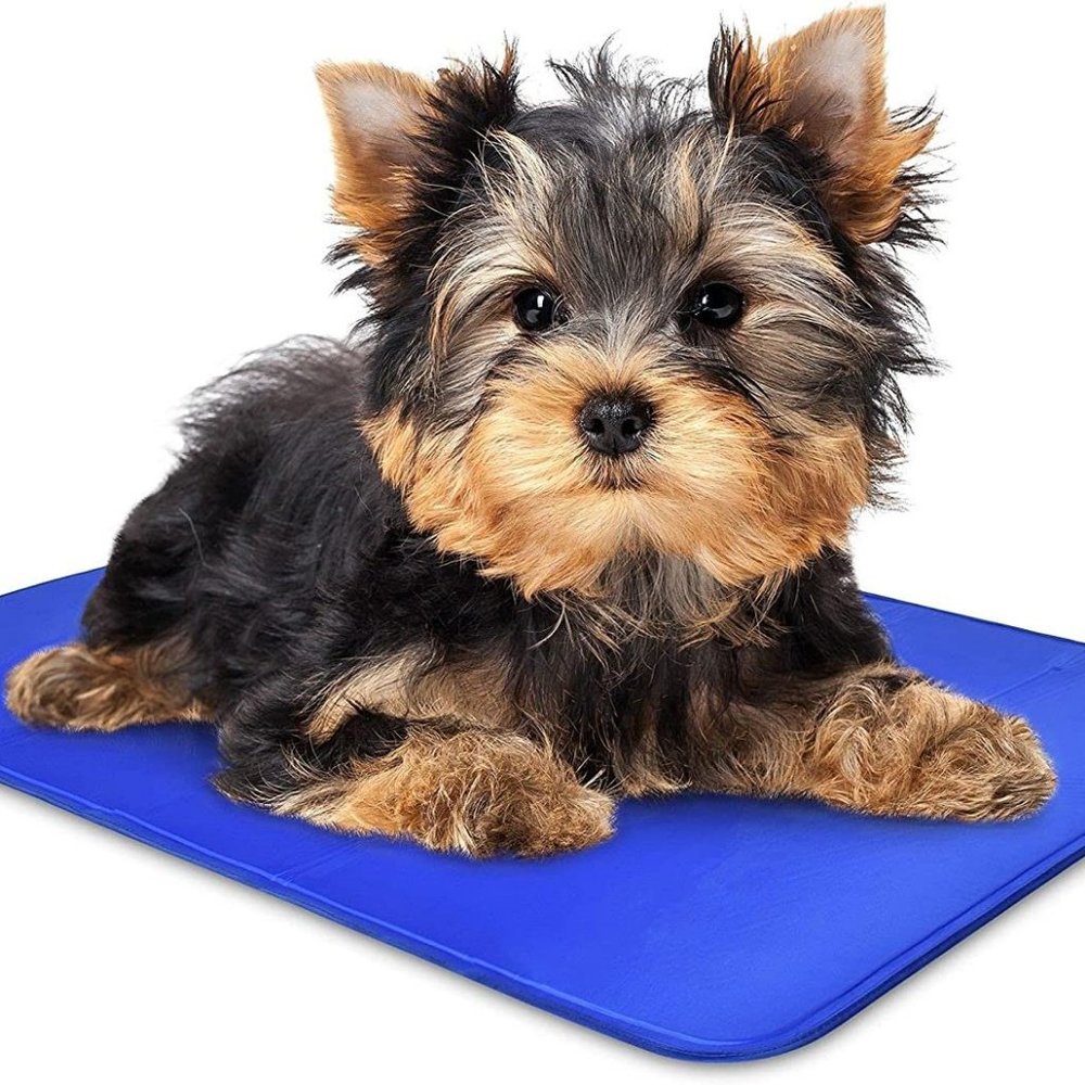 Self Cooling Mat for Kennels, Crates and Beds Durable Solid Cooling Gel - X-Smal